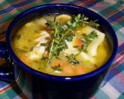 chicken soup, viruses and bacteria